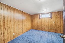 221 Wallasey Street, Winnipeg, MB R3J3C2 Photo 24