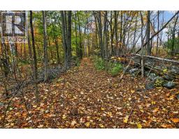152b Wannamaker Road, Stirling, ON K0K3E0 Photo 40
