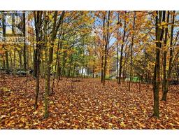 152b Wannamaker Road, Stirling, ON K0K3E0 Photo 41