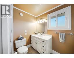 391 Betty Drive, Windsor, ON N8S3W9 Photo 33