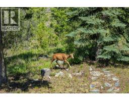 2263 Carmi Road, Penticton, BC V2A8V5 Photo 49