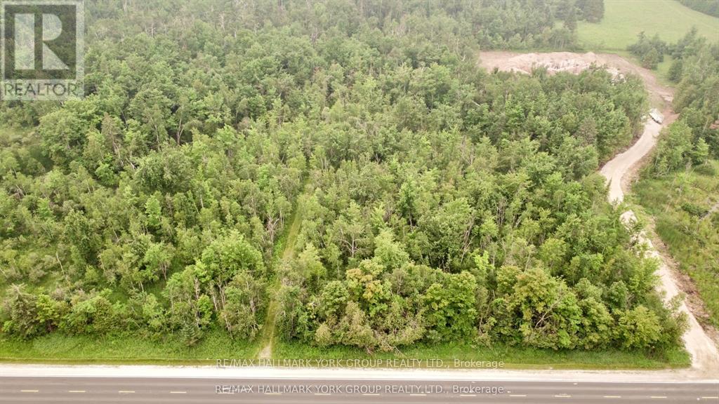 PT LT 80 GREY RD 124 GREY ROAD, Grey Highlands — photo 2