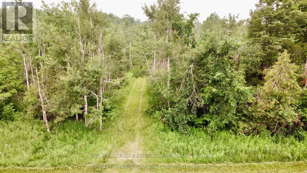 PT LT 80 GREY RD 124 GREY ROAD, Grey Highlands — photo 4