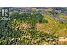 Lot 2 Nashwito Road, Vernon, BC V1H2G7 Photo 38