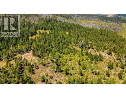 Lot 2 Nashwito Road, Vernon, BC V1H2G7 Photo 63