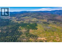 Lot 2 Nashwito Road, Vernon, BC V1H2G7 Photo 37