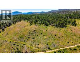 Lot 2 Nashwito Road, Vernon, BC V1H2G7 Photo 40