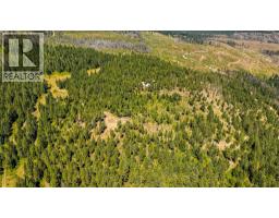 Lot 2 Nashwito Road, Vernon, BC V1H2G7 Photo 60