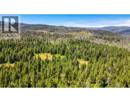 Lot 2 Nashwito Road, Vernon, BC V1H2G7 Photo 51