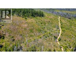 Lot 2 Nashwito Road, Vernon, BC V1H2G7 Photo 39