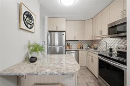 508 15 Kennedy Street, Winnipeg, MB R3C3X5 Photo 13