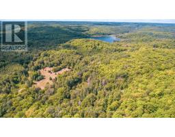 2368 Essonville Line Road, Highlands East, ON K0L3C0 Photo 10