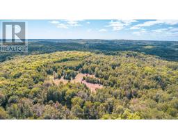 2368 Essonville Line Road, Highlands East, ON K0L3C0 Photo 11