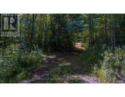 2368 Essonville Line Road, Highlands East, ON K0L3C0 Photo 12