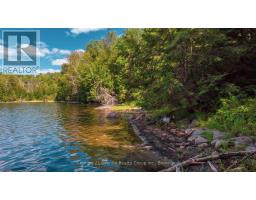 2368 Essonville Line Road, Highlands East, ON K0L3C0 Photo 13