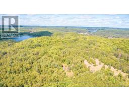 2368 Essonville Line Road, Highlands East, ON K0L3C0 Photo 6