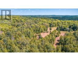 2368 Essonville Line Road, Highlands East, ON K0L3C0 Photo 8