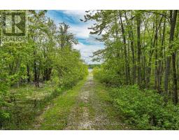 3516 Kirkfield Road, Kawartha Lakes, ON L0K1W0 Photo 40