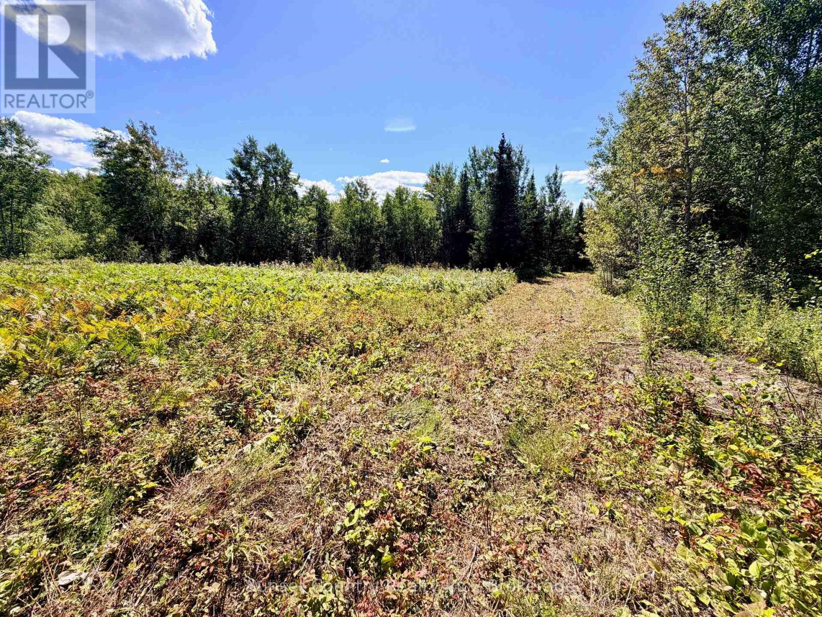 0 WALL STREET W, Kenora Remote Area (Oxdrift) — photo 3