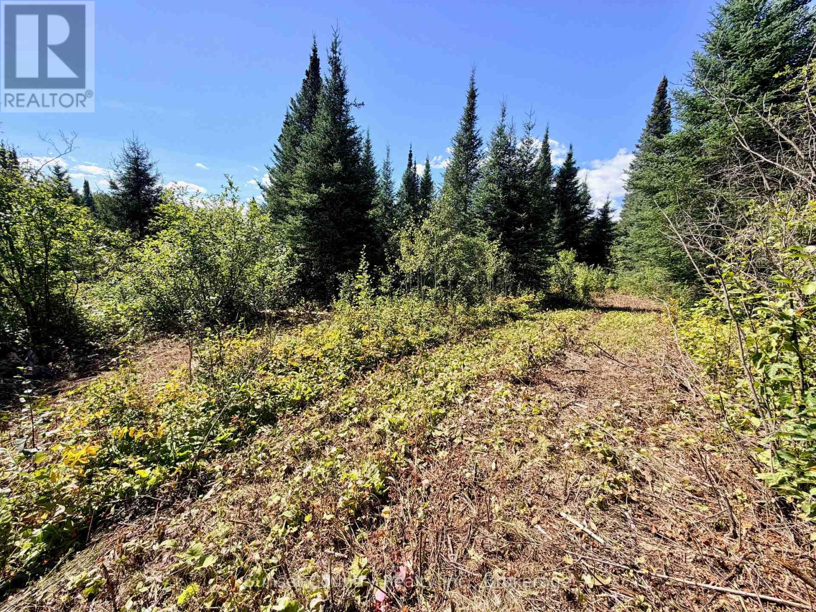 0 WALL STREET W, Kenora Remote Area (Oxdrift) — photo 4
