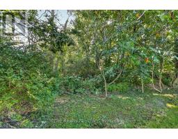 35 Beech Boulevard, Tillsonburg, ON N4G5R8 Photo 36