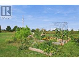 277 6th Line, Douro Dummer, ON K0L2V0 Photo 43
