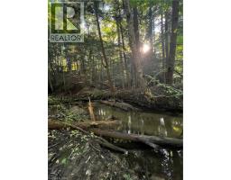 188 Charlotteville West Quarter Line Road, Forestville, ON N0E1P0 Photo 44