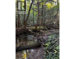 188 Charlotteville West Quarter Line Road, Forestville, ON N0E1P0 Photo 47