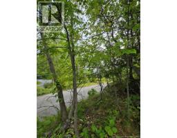 363 Highland Road, Saint John, NB E2G1A5 Photo 17