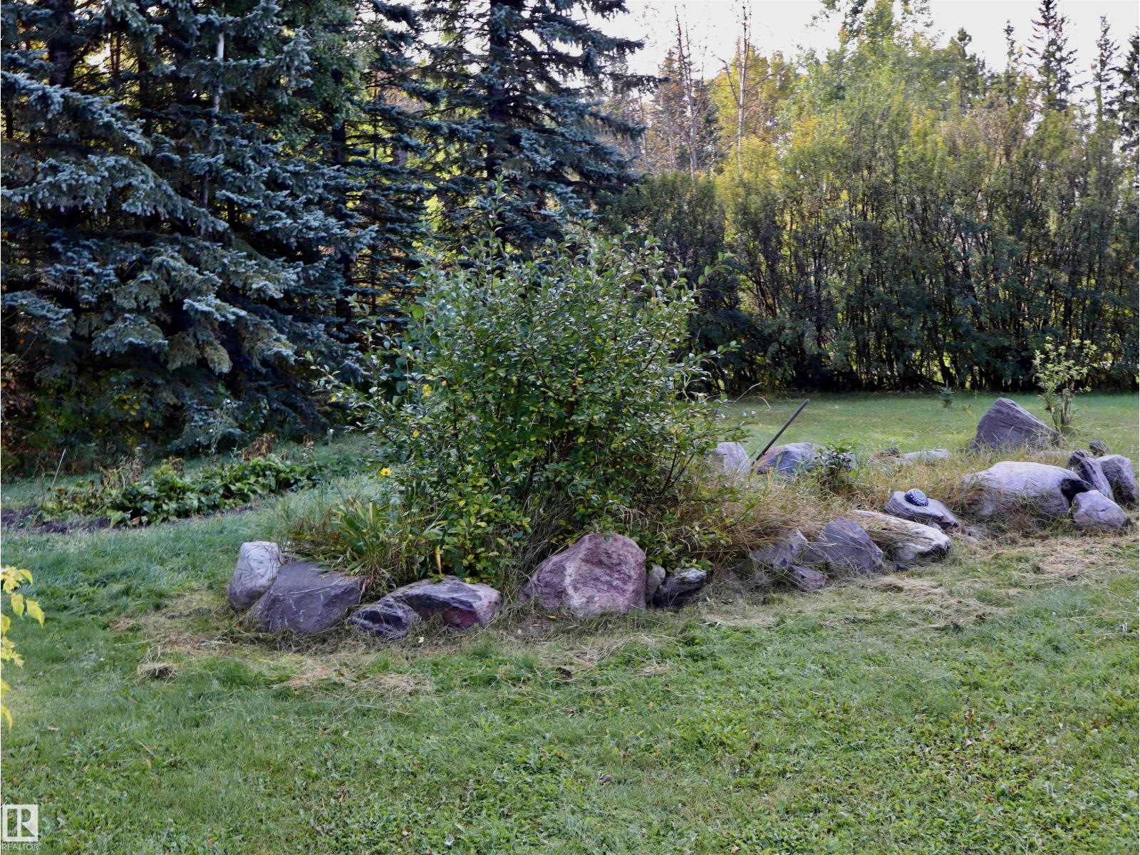 Photo 42