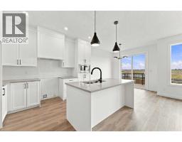 Laundry room - 1489 South Point Villas Sw, Airdrie, AB T4B3J5 Photo 11