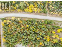 Prcl 1 Duncan Road, Quesnel, BC V2J6X8 Photo 10