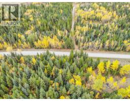 Prcl 1 Duncan Road, Quesnel, BC V2J6X8 Photo 13