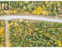 Prcl 1 Duncan Road, Quesnel, BC V2J6X8 Photo 9