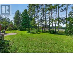 234 Naismith Drive, Mississippi Mills, ON K0A1A0 Photo 37