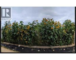 1513 Westview Drive, Bowden, AB T0M0K0 Photo 40