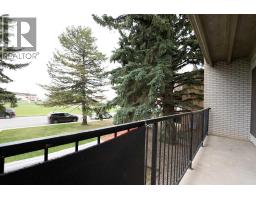 3, 218 Mayor Magrath Drive N, Lethbridge, AB T1H3P8 Photo 21