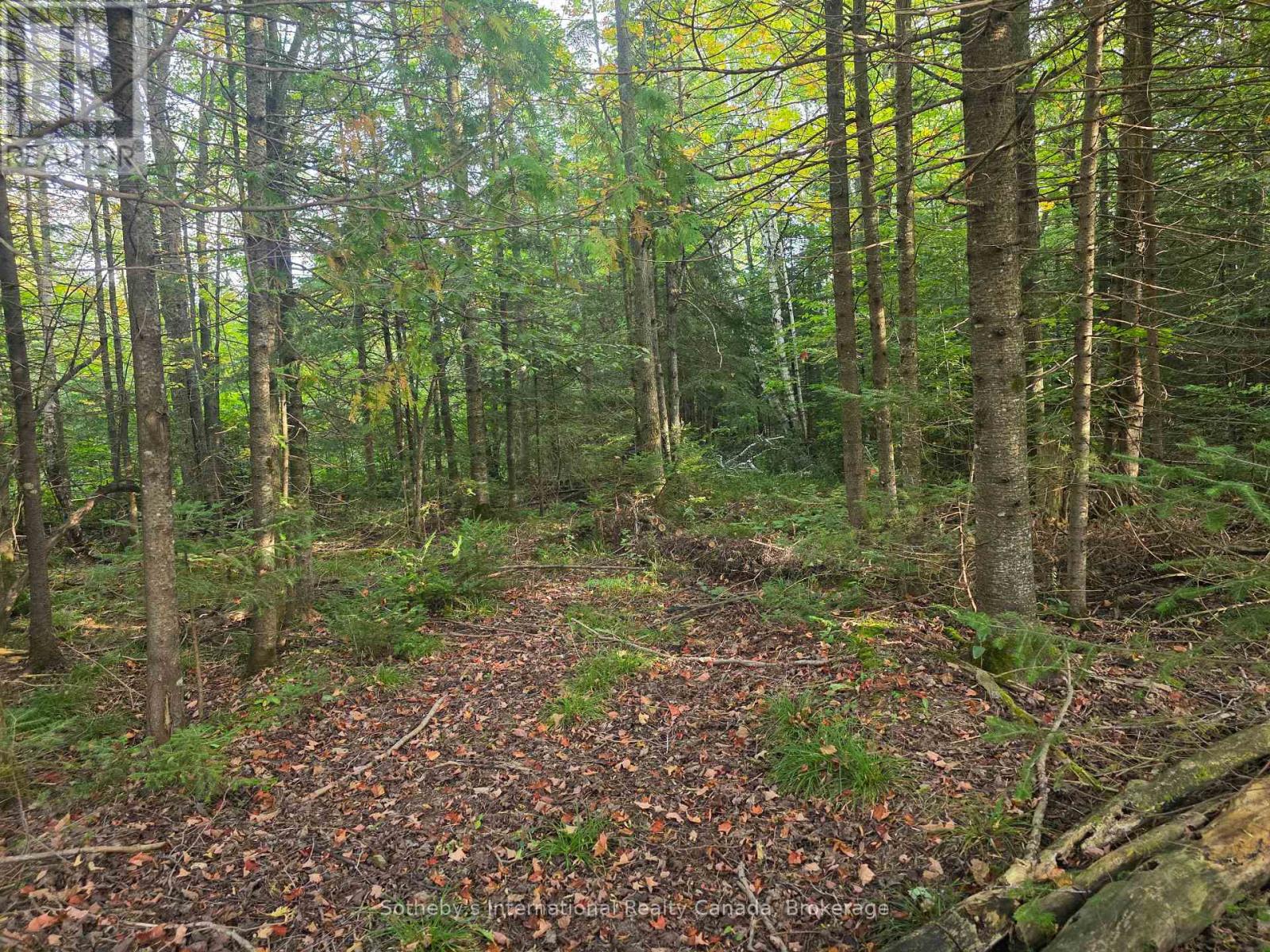 349749 4th Concession B, Grey Highlands, Ontario, N0C1M0, Grey Highlands, Ontario — photo 5 of 5