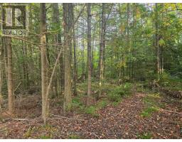 349749 4th Concession B, Grey Highlands, ON N0C1M0 Photo 6