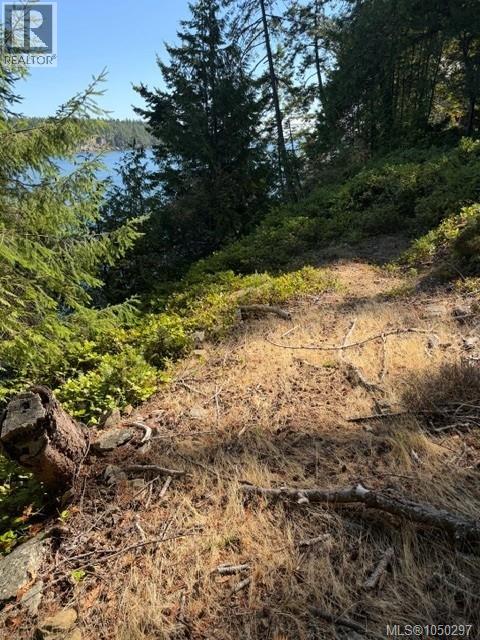 621 Bell Bay Rd, Mayne Island - Image 1
