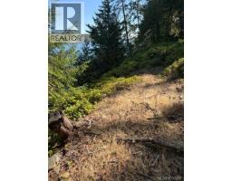 621 Bell Bay Rd, Mayne Island, BC V0N2J2 Photo 19