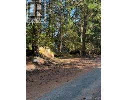 621 Bell Bay Rd, Mayne Island, BC V0N2J2 Photo 9
