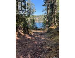 621 Bell Bay Rd, Mayne Island, BC V0N2J2 Photo 11