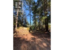 621 Bell Bay Rd, Mayne Island, BC V0N2J2 Photo 12
