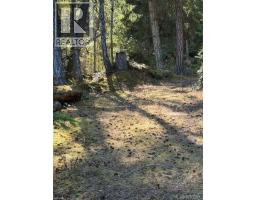 621 Bell Bay Rd, Mayne Island, BC V0N2J2 Photo 13
