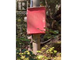 621 Bell Bay Rd, Mayne Island, BC V0N2J2 Photo 31