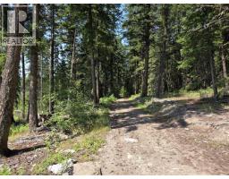1462 Walters Lake Road, Horsefly, BC V0L1L0 Photo 19