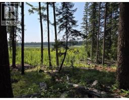 1462 Walters Lake Road, Horsefly, BC V0L1L0 Photo 21