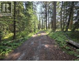1462 Walters Lake Road, Horsefly, BC V0L1L0 Photo 25