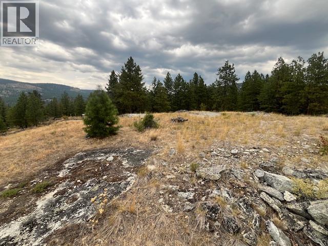  LOT B Grizzly Place, Osoyoos